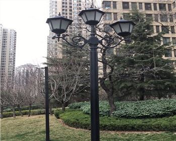 寧夏太陽(yáng)能路燈案例-西安白樺林間