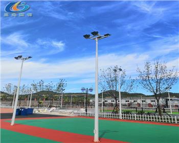 寧夏延安學校路燈照明項目