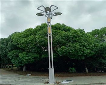 寧夏武漢市政景觀路燈項(xiàng)目